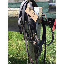 Single driving harness comes with reins,