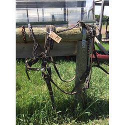 Set of Pony harness comes with lines,