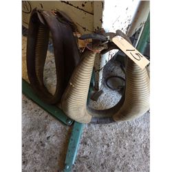 Set of 16 inch pony collars