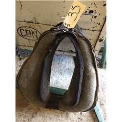 Single 20 inch collar with sweat pad