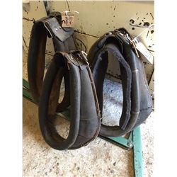 Set of 19 inch and one 20 inch collars