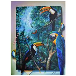 Tucans and Parrots by Ferjo Original