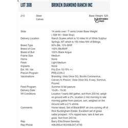Broken Diamond Ranch Inc - 210 Steers