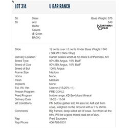 U Bar Ranch - 50 Steers