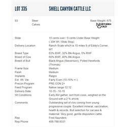 Shiell Canyon Cattle LLC - 93 Steers