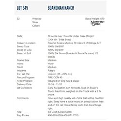 Boardman Ranch - 92 Weaned Steers