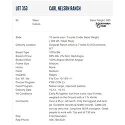 Carl Nelson Ranch - 92 Steers