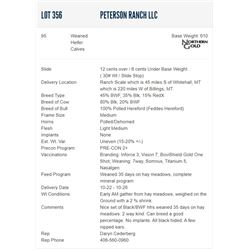 Peterson Ranch LLC - 95 Weaned Heifers