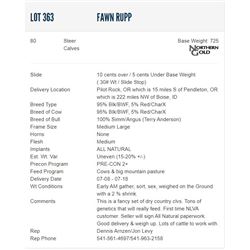 Fawn Rupp - 80 Steers