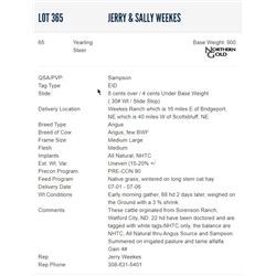 Jerry & Sally Weekes - 65 Steers