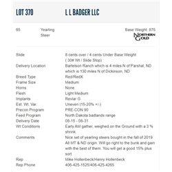 L L Badger LLC - 65 Steers