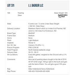 L L Badger LLC - 186 Steers