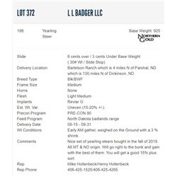 L L Badger LLC - 186 Steers