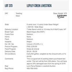 Lepley Creek Livestock - 245 Steers