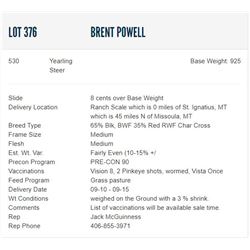 Brent Powell - 530 Steers