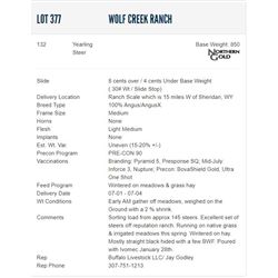 Wolf Creek Ranch - 132 Steers