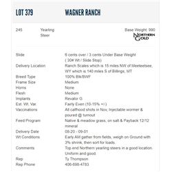 Wagner Ranch - 245 Steers