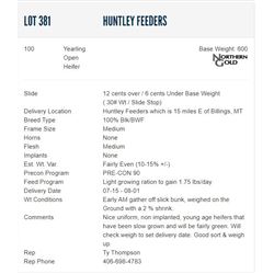 Huntley Feeders - 100 Open Heifers