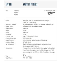 Huntley Feeders - 100 Open Heifers