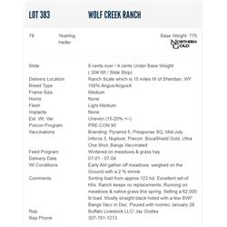 Wolf Creek Ranch - 78 Heifers