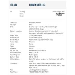 Cooney Bros LLC - 70 Open Heifers