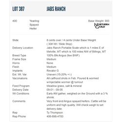 Jabs Ranch - 400 Spayed Heifers