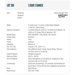 S Bar S Ranch - 400 Spayed Heifers