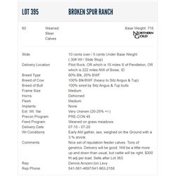 Broken Spur Ranch - 60 Weaned Steers