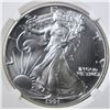 Image 2 : 1991 AMERICAN SILVER EAGLE, NGC MS-69