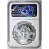 Image 4 : 1993 AMERICAN SILVER EAGLE NGC MS-69