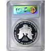 Image 4 : 2006-W AMERICAN SILVER EAGLE PCGS  PR-69 DCAM