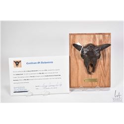 G.C. Wentworth "Buffalo Skull" cast bronze sculpture on wooden wall mount plaque with COA, 8" X 6"