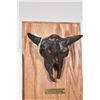 Image 2 : G.C. Wentworth "Buffalo Skull" cast bronze sculpture on wooden wall mount plaque with COA, 8" X 6"