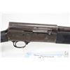 Image 2 : Non-Restricted shotgun FN Browning model 5, 12 Ga 2-3/4" semi automatic, w/ bbl length 29" [Blued ba