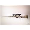 Image 3 : Non-Restricted rifle Tikka model T3, .243 Win bolt action, w/ bbl length 22" [Satin stainless barrel