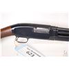 Image 2 : Non-Restricted shotgun Winchester model 12, 12 gauge pump action, w/ bbl length 30" [Blued barrel an