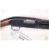 Image 2 : Non-Restricted shotgun Winchester model 12, 12 gauge pump action, w/ bbl length 30" [Blued barrel an