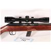 Image 2 : Non-Restricted rifle Cooey model 64B, .22 LR ten shot semi automatic, w/ bbl length 20" [Blued barre