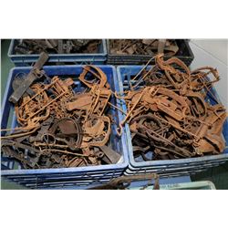 Two crates containing a selection of vintage leg hold traps, approximately 40 count.