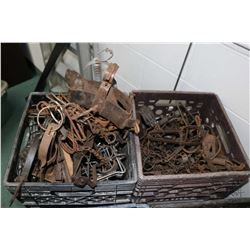 Two crates containing a selection of vintage leg hold traps, approximately 40 count.