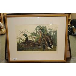 Three vintage gilt framed Audubon prints including "Great American Cock Male (Wild Turkey), Mallard