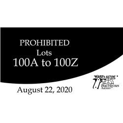 Virtual VIDEO Preview of Prohibited Lots in the 100 group