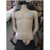 Image 1 : Male Torso Mannequin with Arms