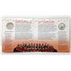 Image 2 : .9999 Silver 2020 Canadian 100 Yrs. of RCMP Coin