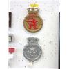 Image 1 : 2 Cast Metal Crests - 7" diameter