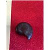 Image 2 : Fossil Ammonite