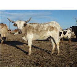 TGC PINEAPPLE EXPRESS