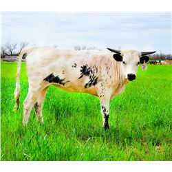 SL MY-T-FINE SOUFFLE