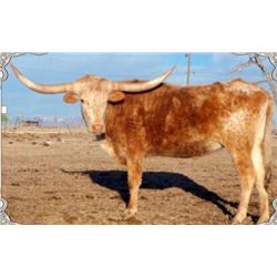 TGC HOOKED ON A GOOD TIME