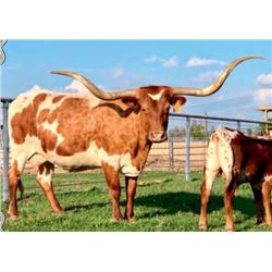 EOT OUTBACK ROSLAND 642